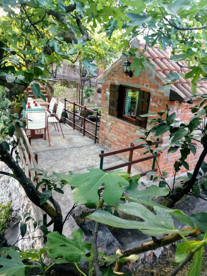 Apartment Lidija Herceg Novi Eksteriør bilde